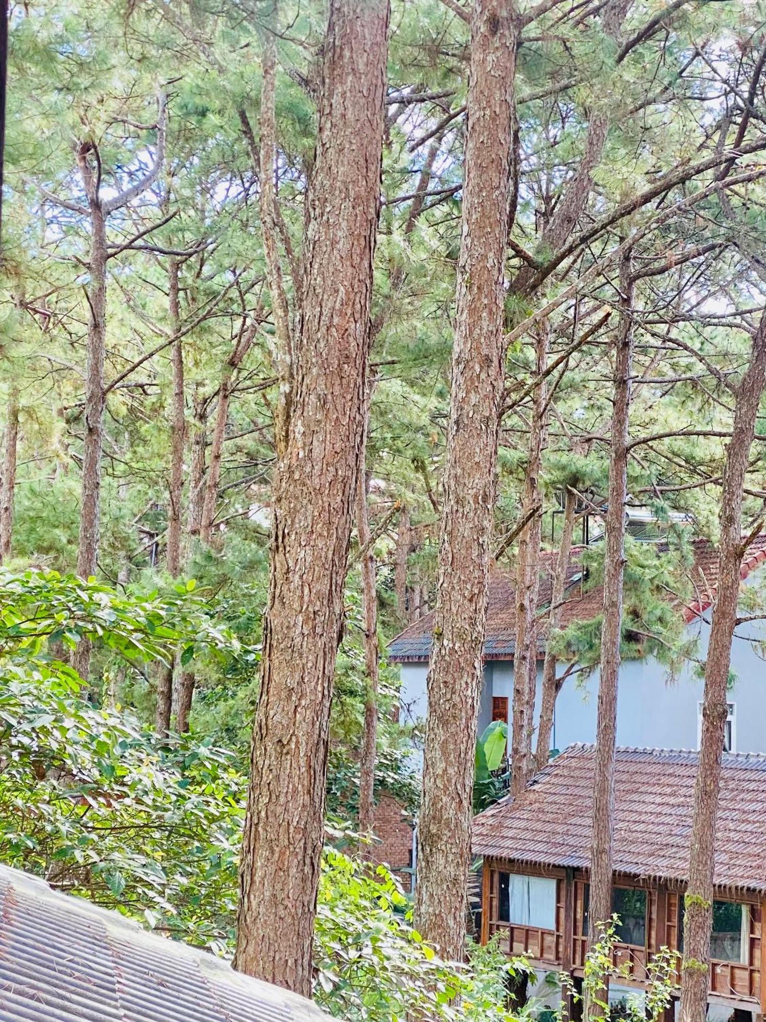 Tron Homestay Kon Von Kla Екстериор снимка