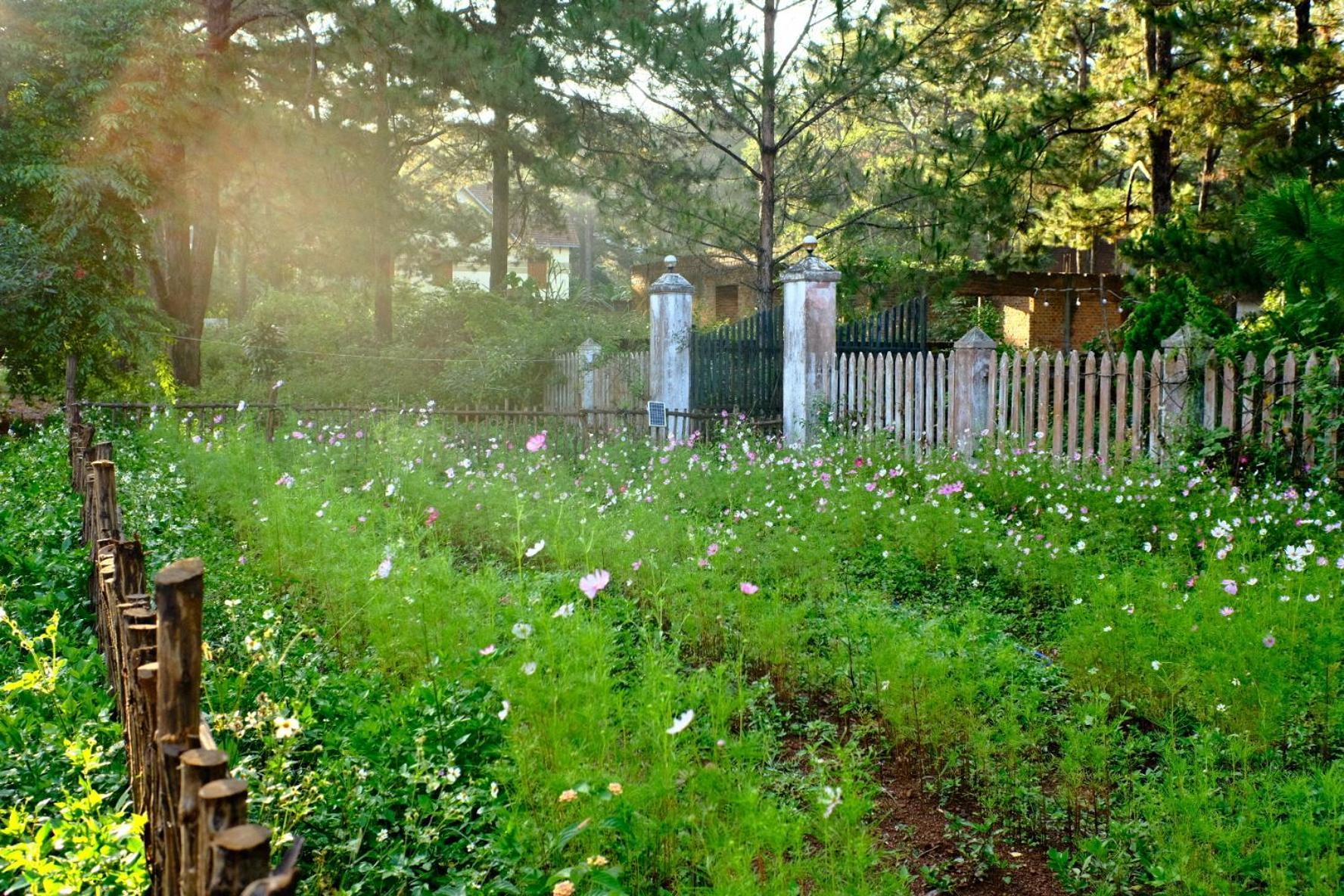 Tron Homestay Kon Von Kla Екстериор снимка